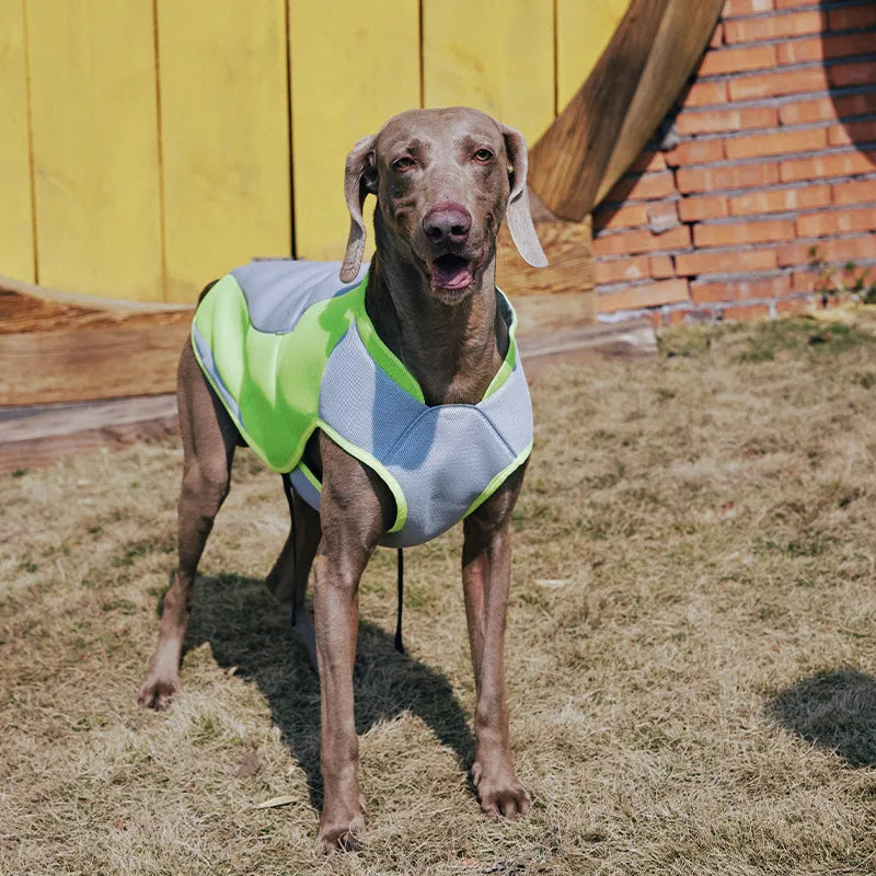 Water-Activated Cooling Dog Vest with Sport Colorblock Design