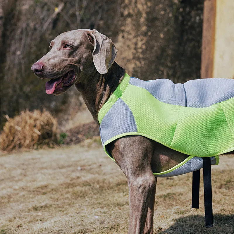 Water-Activated Cooling Dog Vest with Sport Colorblock Design