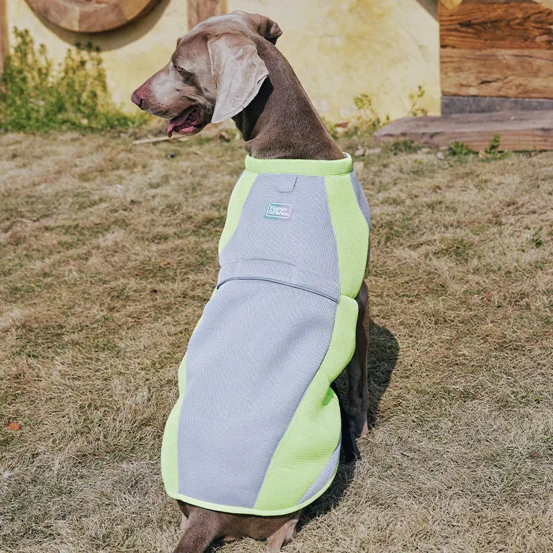 Water-Activated Cooling Dog Vest with Sport Colorblock Design