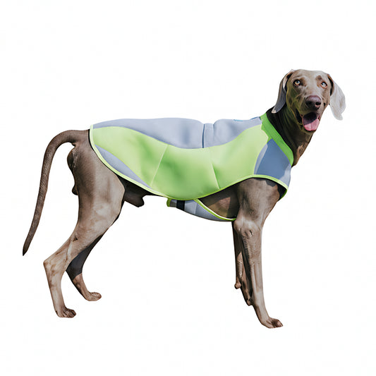 Cooling Vest for Beach, Hiking, Walking