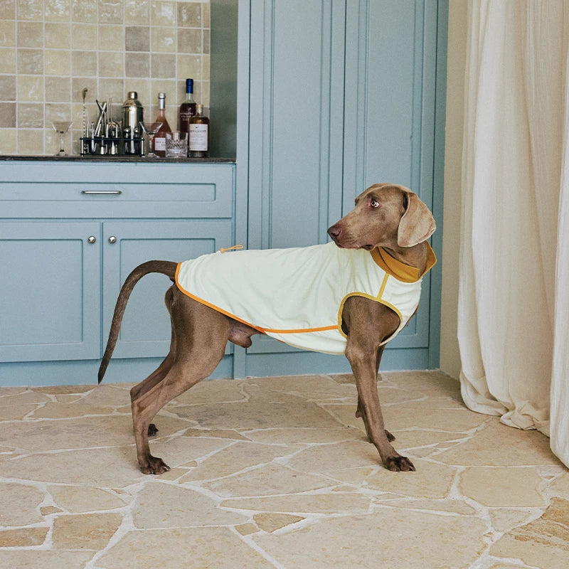 7A Antibacterial Cooling Dog Vest | Quick-Dry Breathable & Anti-Bug Summer Gear