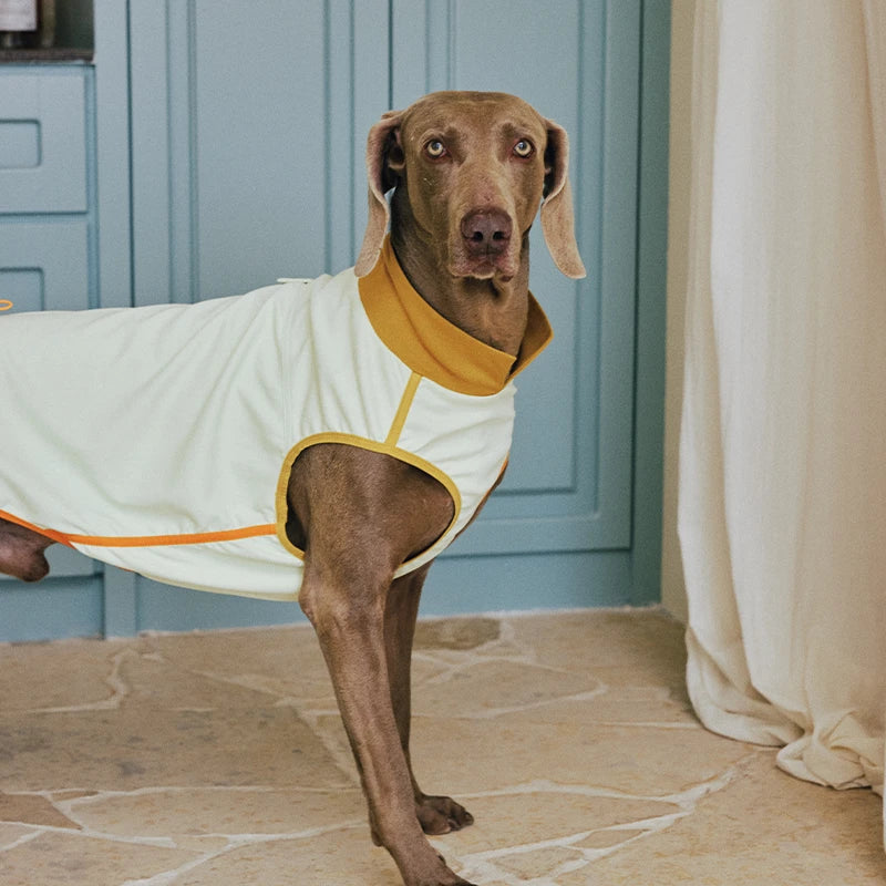 7A Antibacterial Cooling Dog Vest | Quick-Dry Breathable & Anti-Bug Summer Gear