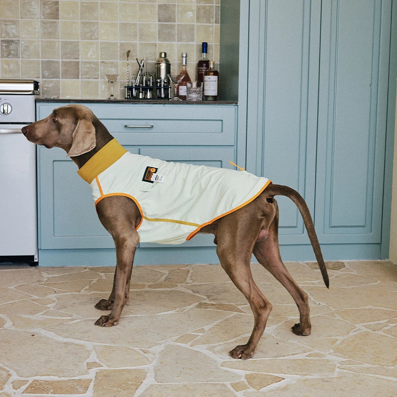 7A Antibacterial Cooling Dog Vest | Quick-Dry Breathable & Anti-Bug Summer Gear