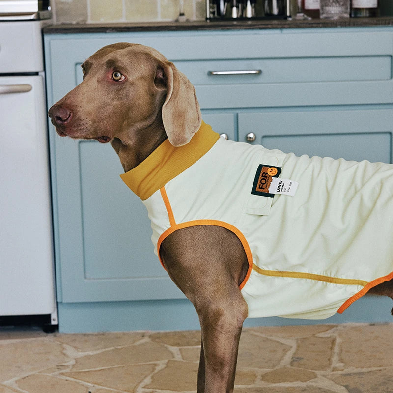 7A Antibacterial Cooling Dog Vest | Quick-Dry Breathable & Anti-Bug Summer Gear