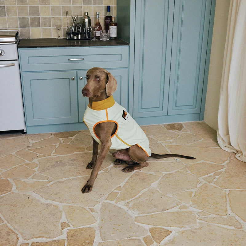 7A Antibacterial Cooling Dog Vest | Quick-Dry Breathable & Anti-Bug Summer Gear