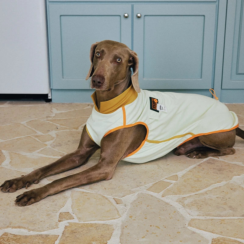 7A Antibacterial Cooling Dog Vest | Quick-Dry Breathable & Anti-Bug Summer Gear