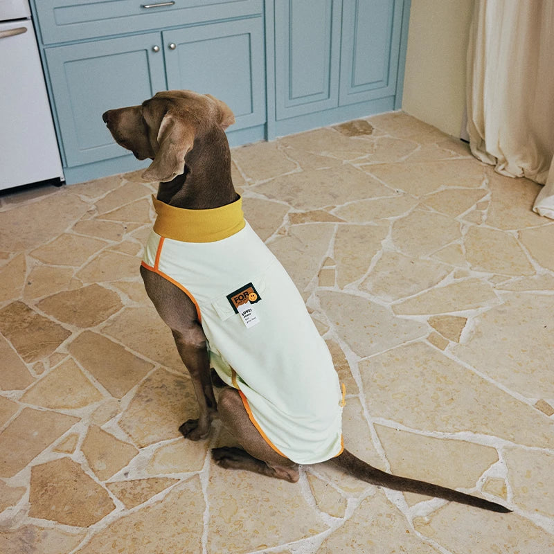 7A Antibacterial Cooling Dog Vest | Quick-Dry Breathable & Anti-Bug Summer Gear