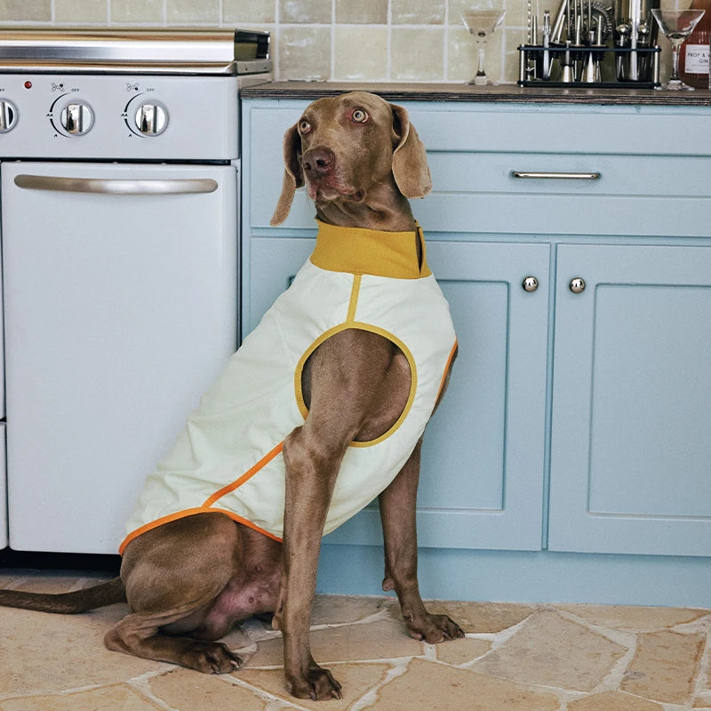 7A Antibacterial Cooling Dog Vest | Quick-Dry Breathable & Anti-Bug Summer Gear