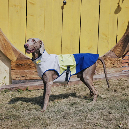 Outdoor Cooling Dog Vest with Ice Pocket