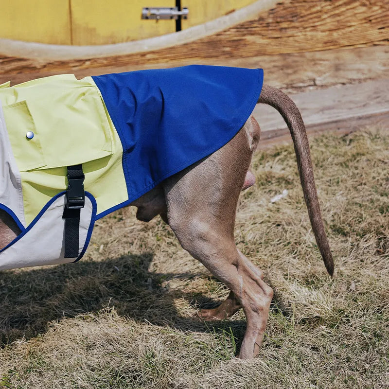 Outdoor Cooling Dog Vest with Pocket