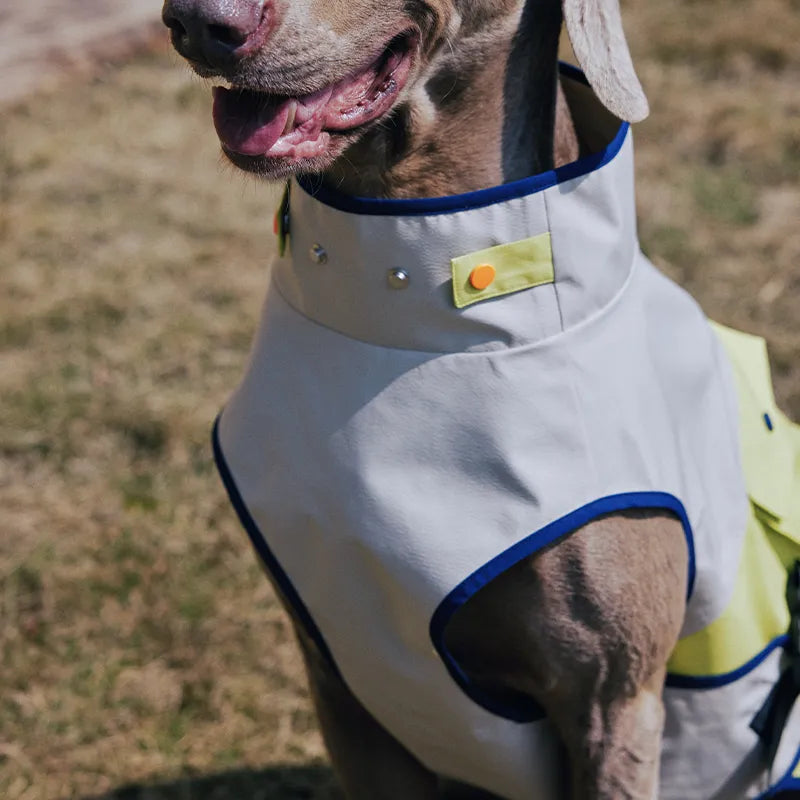 Outdoor Cooling Dog Vest with Pocket