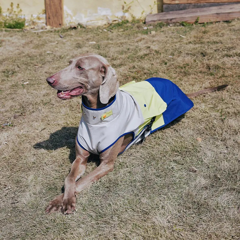 Outdoor Cooling Dog Vest with Pocket