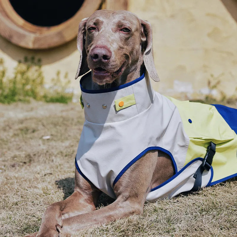 Outdoor Cooling Dog Vest with Pocket