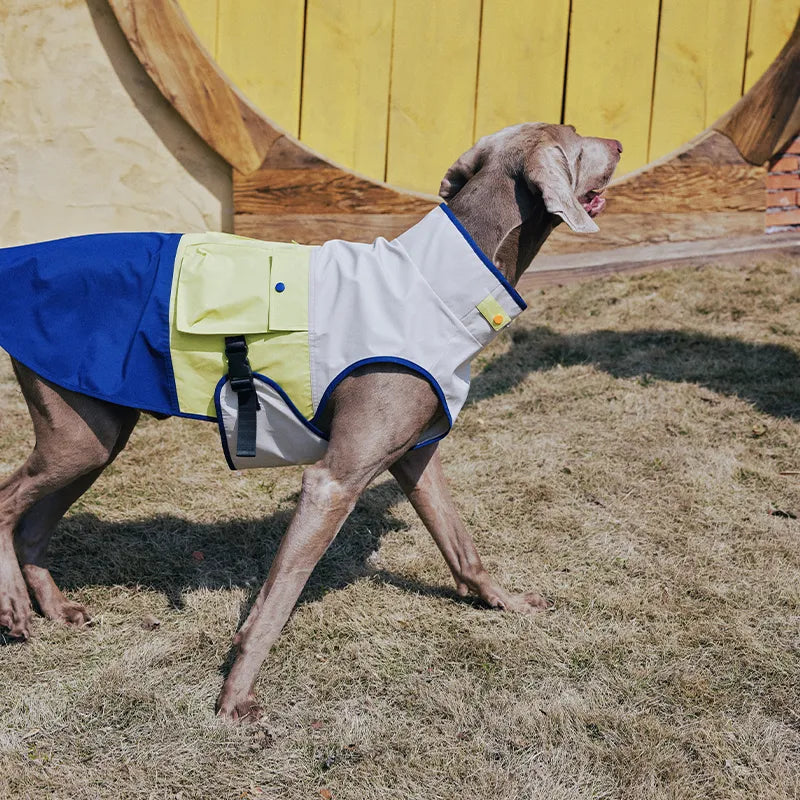 Outdoor Cooling Dog Vest with Pocket