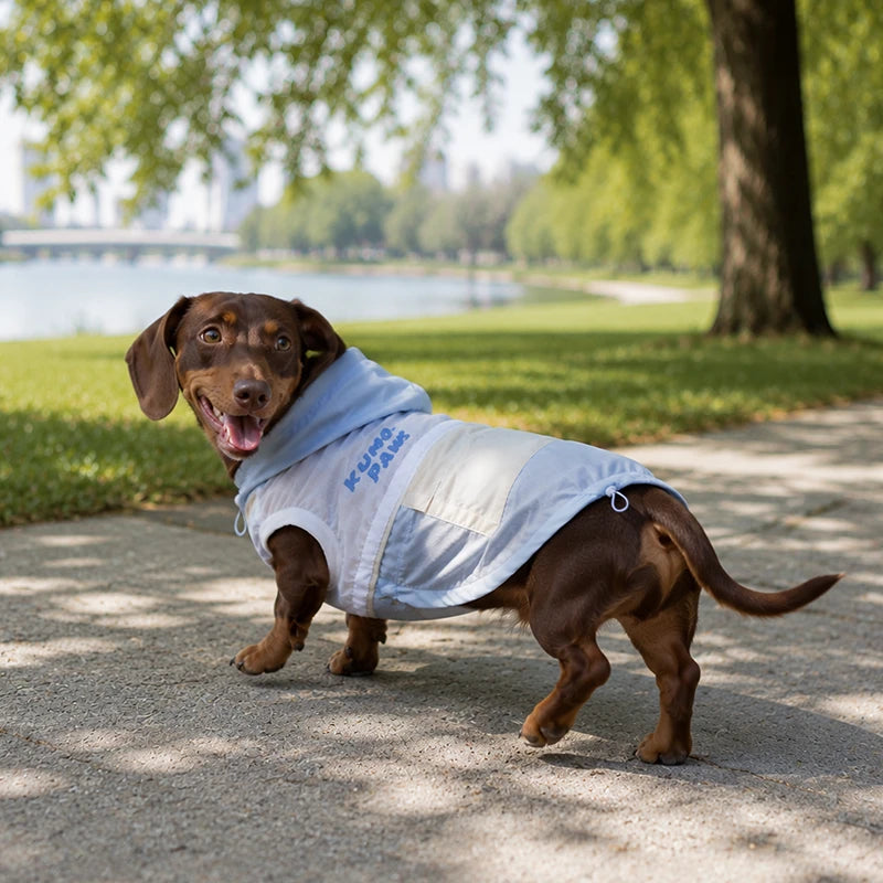 UPF 50+ Outdoor Cooling Dog Hoodie | Lightweight Sun Protection Jacket with Utility Pocket