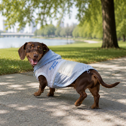 UPF 50+ Outdoor Cooling Dog Hoodie | Lightweight Sun Protection Jacket with Utility Pocket