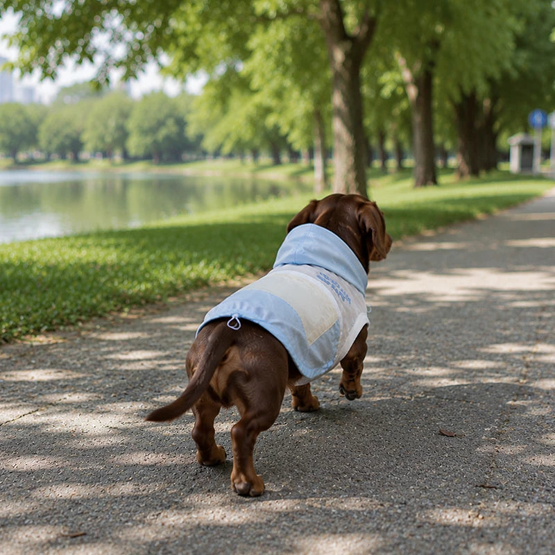 UPF 50+ Outdoor Cooling Dog Hoodie | Lightweight Sun Protection Jacket with Utility Pocket