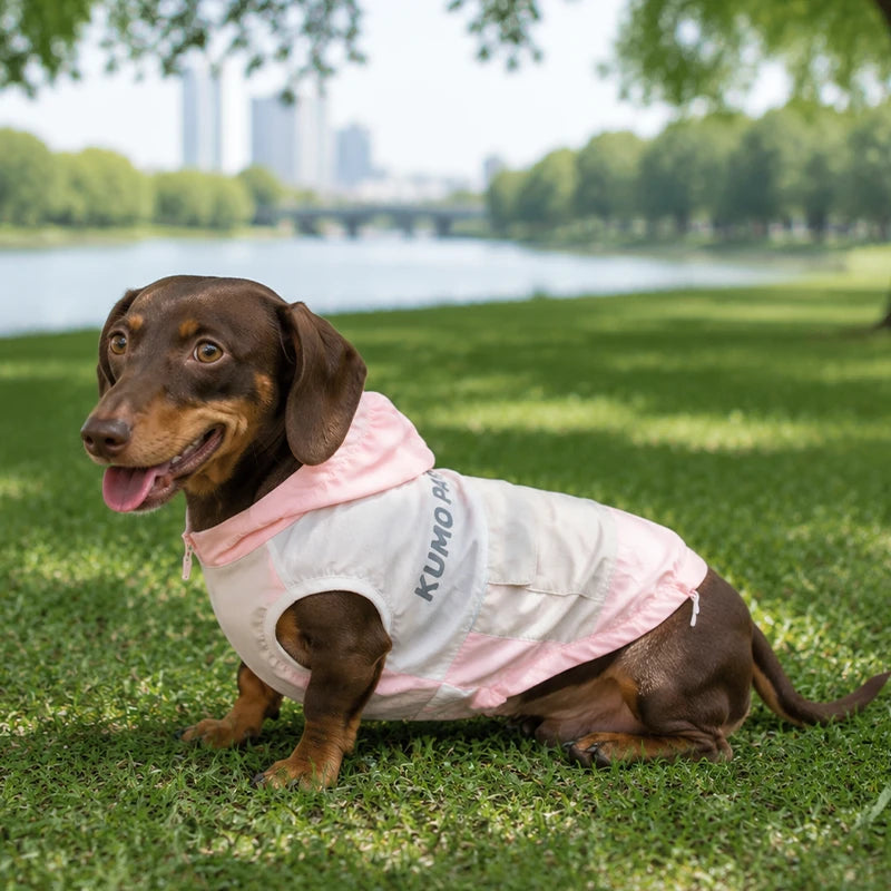 UPF 50+ Outdoor Cooling Dog Hoodie | Lightweight Sun Protection Jacket with Utility Pocket