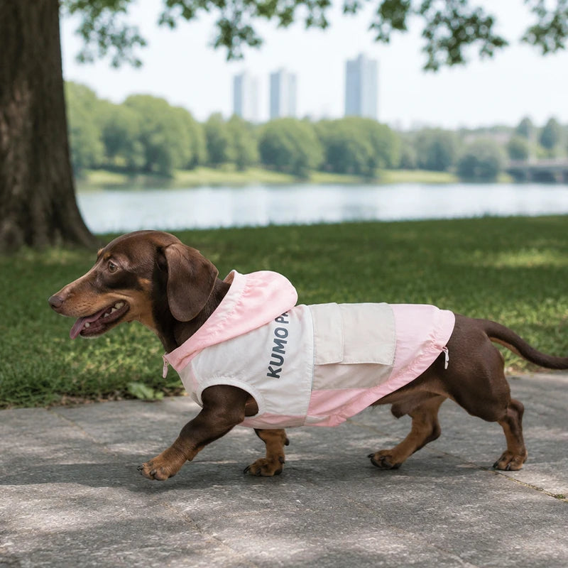 UPF 50+ Outdoor Cooling Dog Hoodie | Lightweight Sun Protection Jacket with Utility Pocket