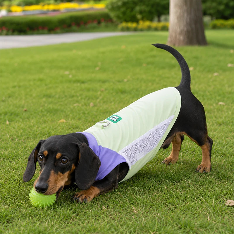 UPF 50+ Cooling Dog Sun Shirt | Breathable Stretch Ice-Silk Vest with Harness Ring