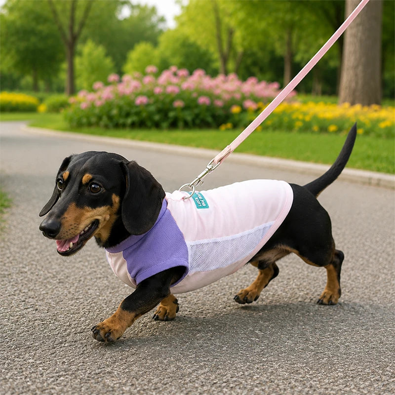 UPF 50+ Cooling Dog Sun Shirt | Breathable Stretch Ice-Silk Vest with Harness Ring