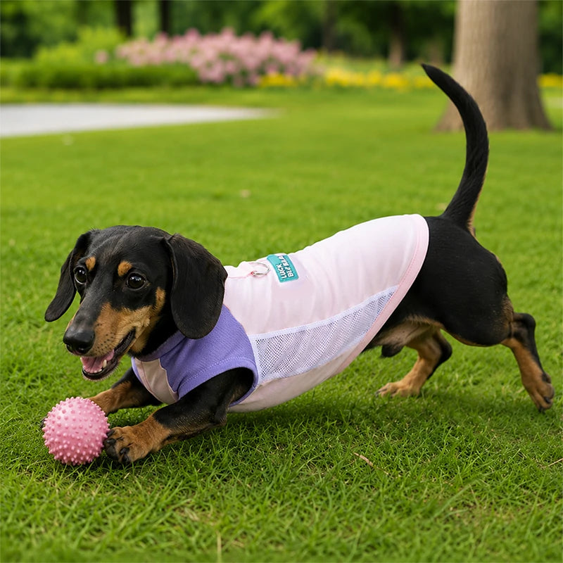 UPF 50+ Cooling Dog Sun Shirt | Breathable Stretch Ice-Silk Vest with Harness Ring