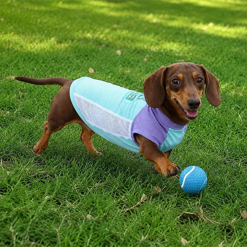 UPF 50+ Cooling Dog Sun Shirt | Breathable Stretch Ice-Silk Vest with Harness Ring