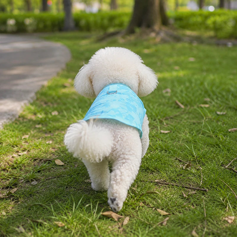 Cooling Ice-Silk Dog Vest | Lightweight Quick-Cool Summer Shirt for Dogs