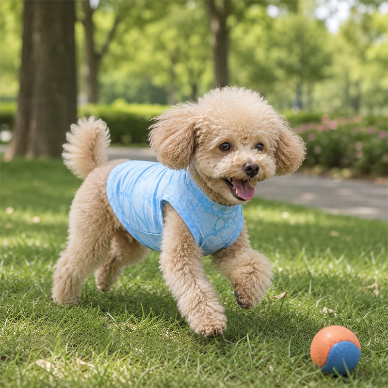 Cooling Ice-Silk Dog Vest | Lightweight Quick-Cool Summer Shirt for Dogs
