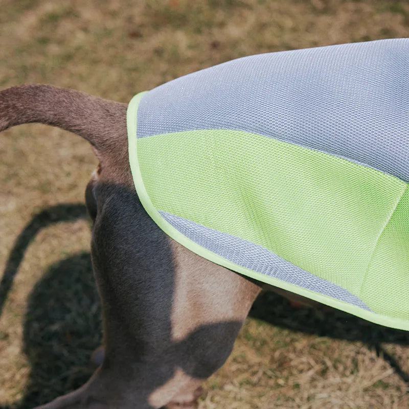 Water-Activated Cooling Dog Vest with Sport Colorblock Design
