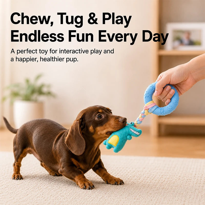 Squeaky Dog Chew Ring Toy | Durable Interactive Toy for Boredom Relief