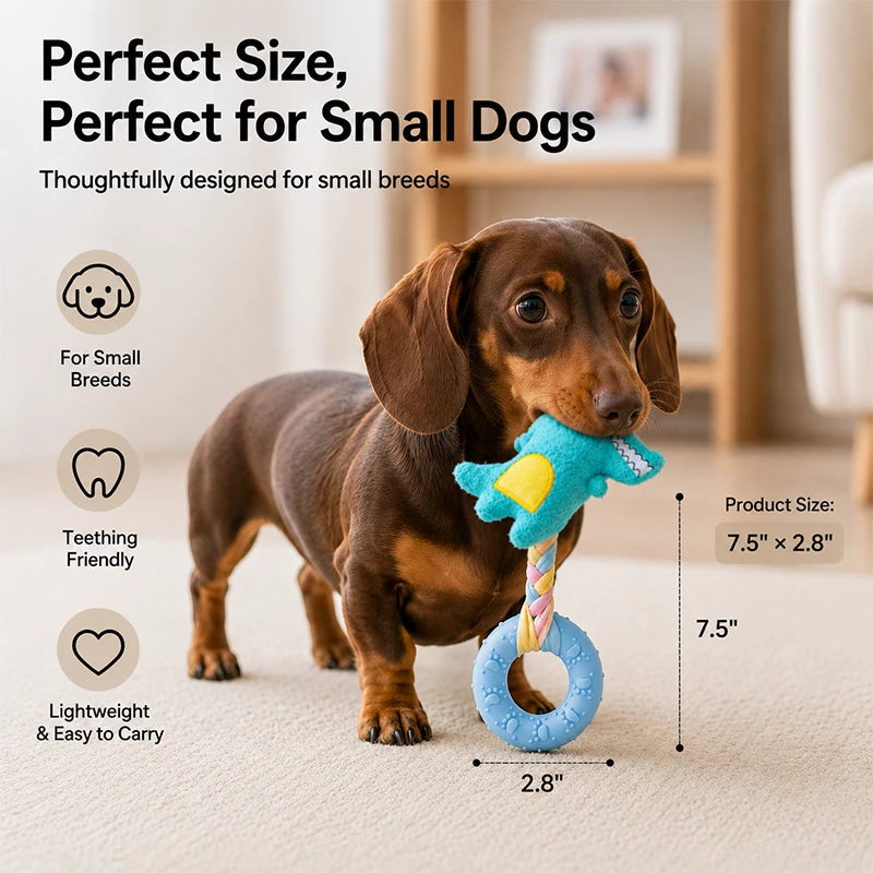 Squeaky Dog Chew Ring Toy | Durable Interactive Toy for Boredom Relief
