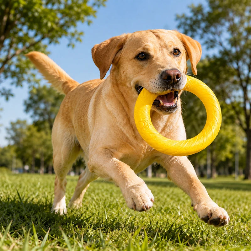 Durable Dog Chew Ring Toy | Interactive Flying Ring for Aggressive Chewers