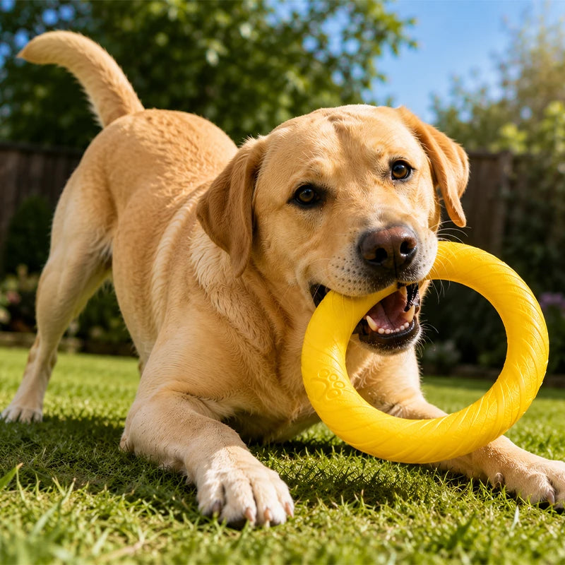 Durable Dog Chew Ring Toy | Interactive Flying Ring for Aggressive Chewers