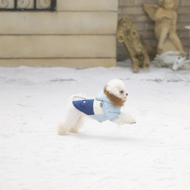 Hooded Dog Winter Coat | Thick Padded Jacket with Fur-Trim Hood