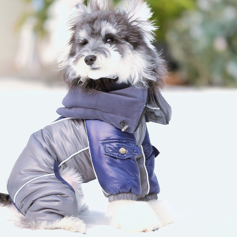 Aurora Courier-Waterproof Snowsuit