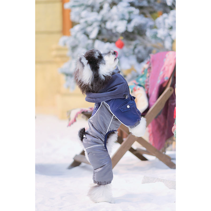 Aurora Courier-Waterproof Snowsuit