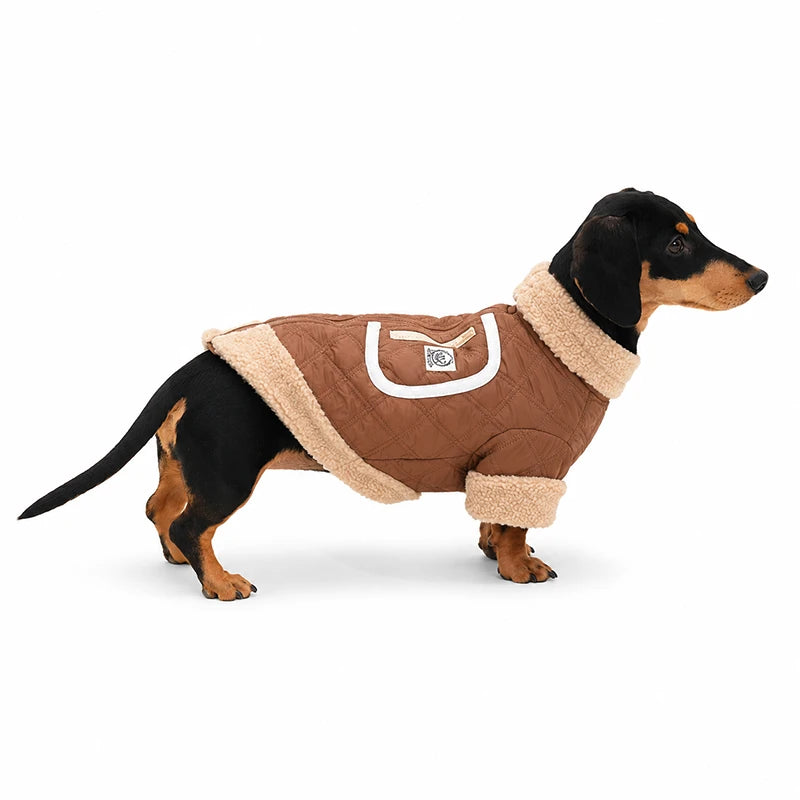 Quilted Dog Jacket with Sherpa Trim | Warm Winter Coat for Dogs