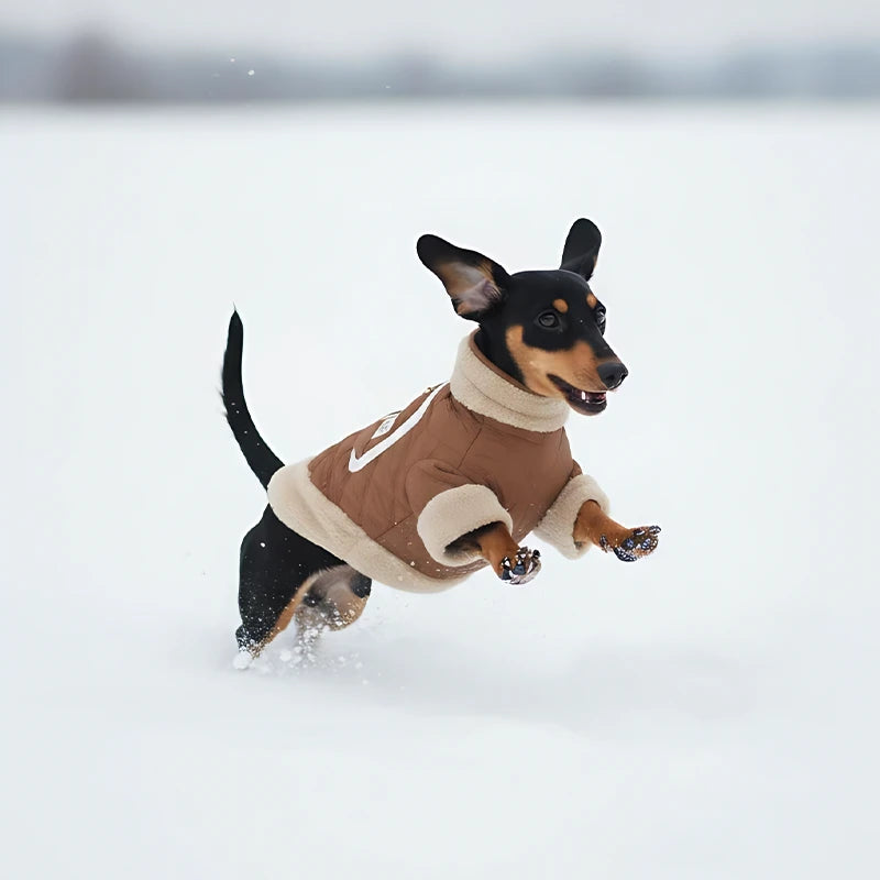Quilted Dog Jacket with Sherpa Trim | Warm Winter Coat for Dogs