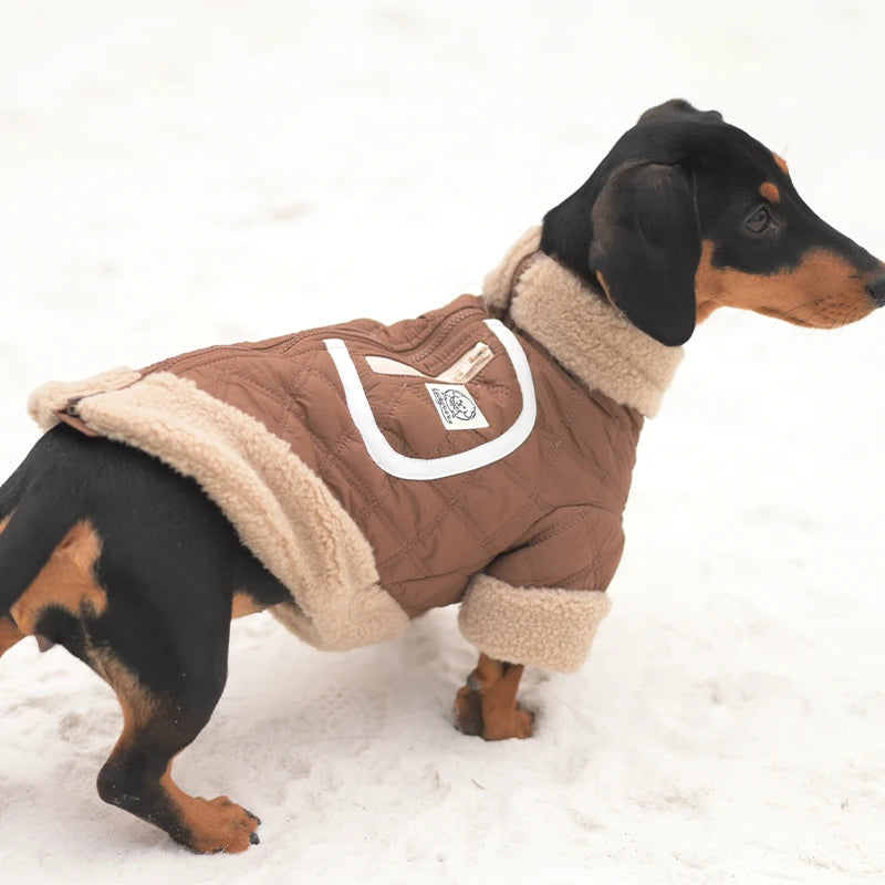 Quilted Dog Jacket with Sherpa Trim | Warm Winter Coat for Dogs