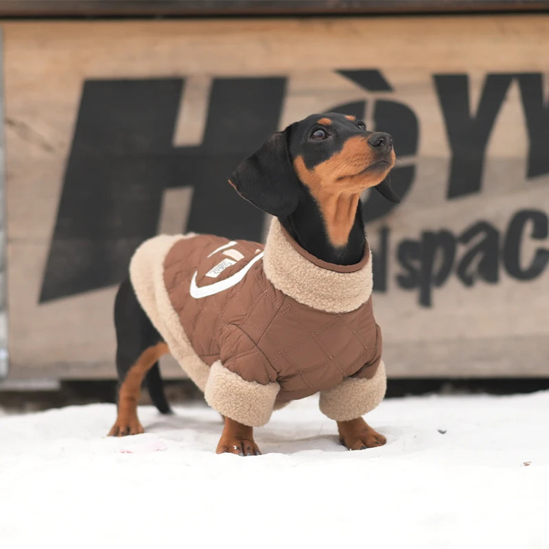 Quilted Dog Jacket with Sherpa Trim | Warm Winter Coat for Dogs