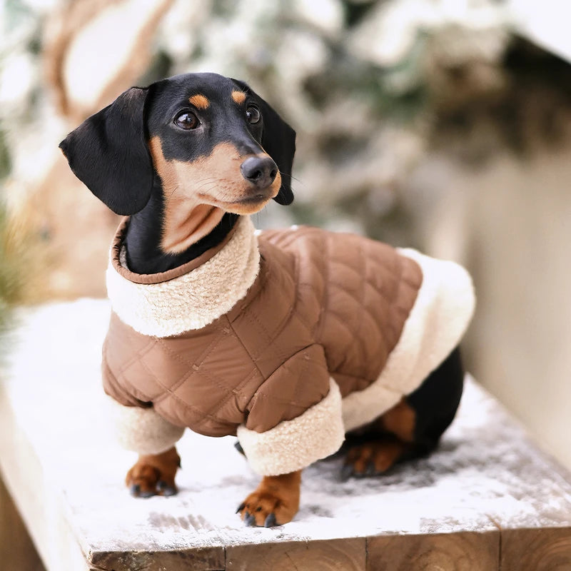 Quilted Dog Jacket with Sherpa Trim | Warm Winter Coat for Dogs