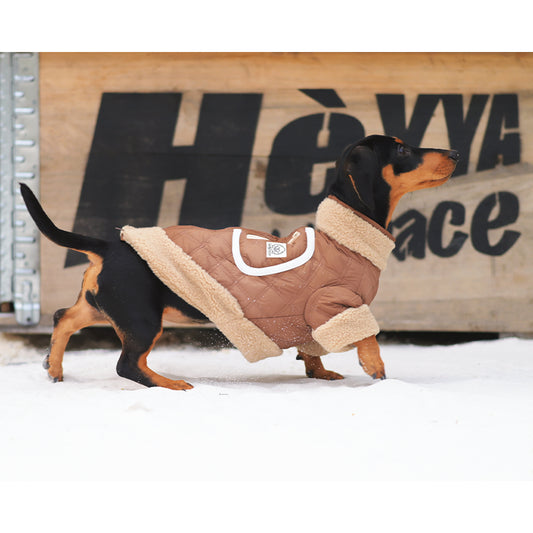 Snowdrift Surveyor-Classic Quilted Sherpa-Trim Dog Jacket