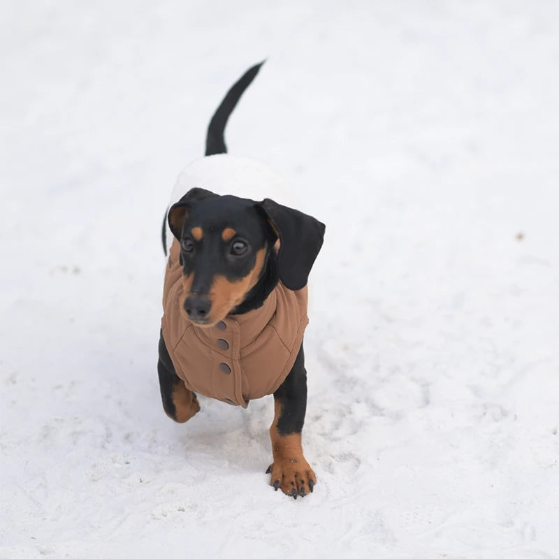 Sherpa Dog Vest for Winter | Warm Lightweight Coat with Plaid Detail
