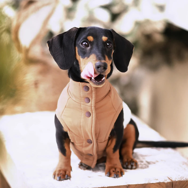 Sherpa Dog Vest for Winter | Warm Lightweight Coat with Plaid Detail
