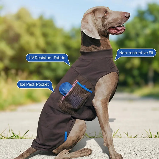 Cooling Dog Vest for Summer | Free Ice Pack Included & Breathable Outdoor Mesh