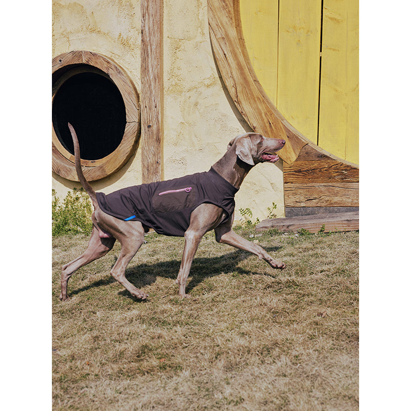 Premium Dog Cooling Vest - Breathable Ice Pack Harness for Heat Relief, Sun Protection Summer Gear