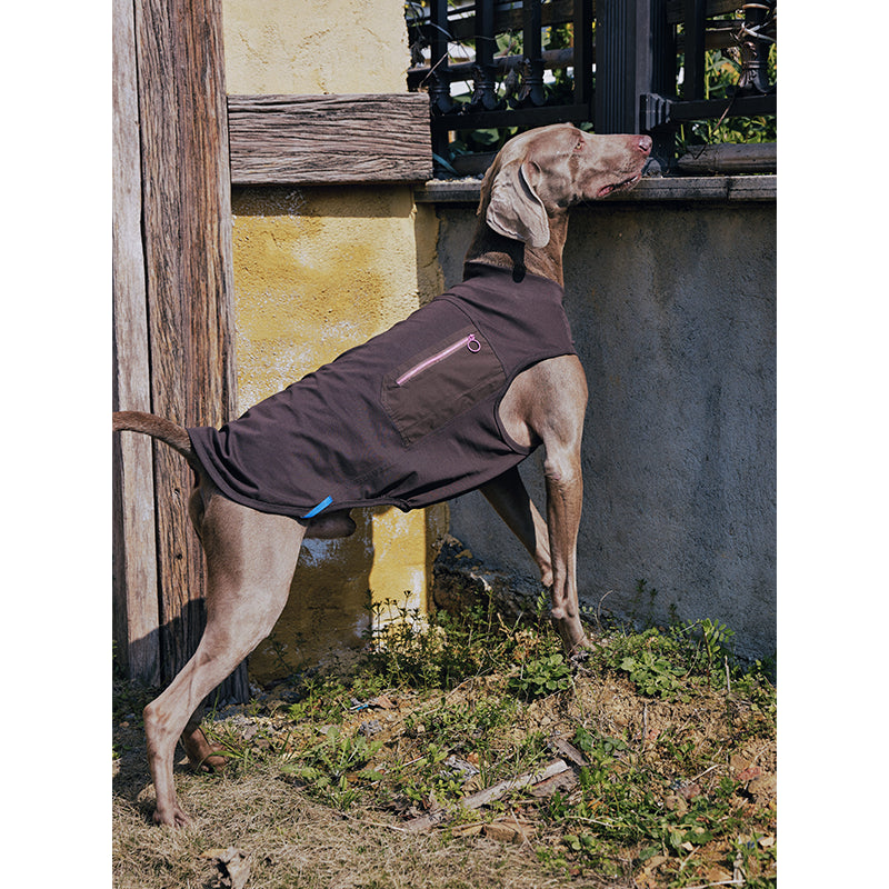 Premium Dog Cooling Vest - Breathable Ice Pack Harness for Heat Relief, Sun Protection Summer Gear