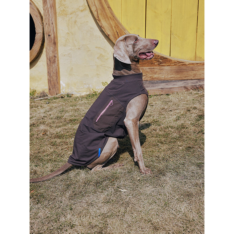 Premium Dog Cooling Vest - Breathable Ice Pack Harness for Heat Relief, Sun Protection Summer Gear