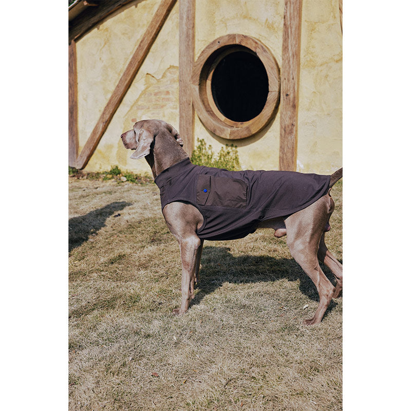 Premium Dog Cooling Vest - Breathable Ice Pack Harness for Heat Relief, Sun Protection Summer Gear